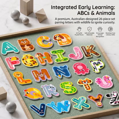 Magnetic Alphabet & Number Learning Set